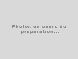 A vendre Hyundai Ioniq à Avrainville 91630